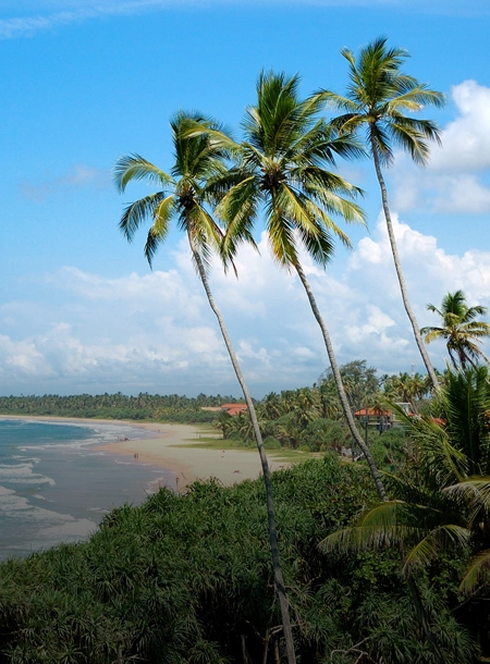 Détente dorée tropicale sur Bentota